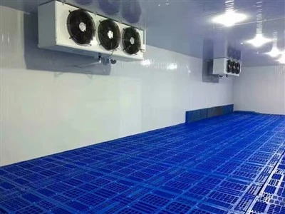 2025 Çin'in 10 Lider Soğuk Oda Fabrikası